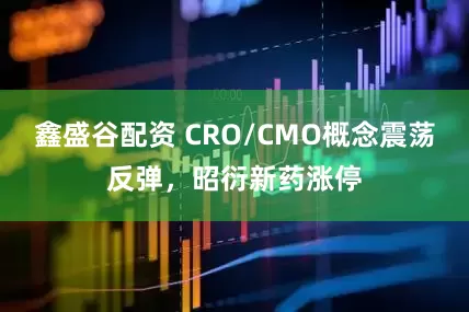 鑫盛谷配资 CRO/CMO概念震荡反弹，昭衍新药涨停