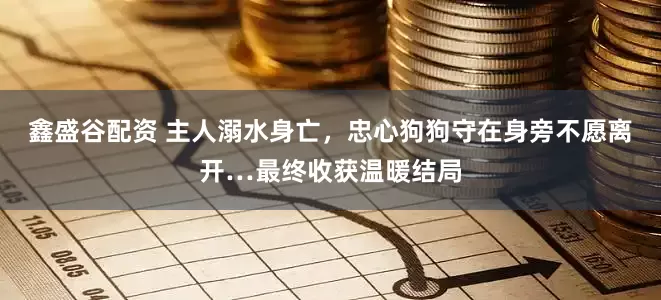 鑫盛谷配资 主人溺水身亡，忠心狗狗守在身旁不愿离开…最终收获温暖结局