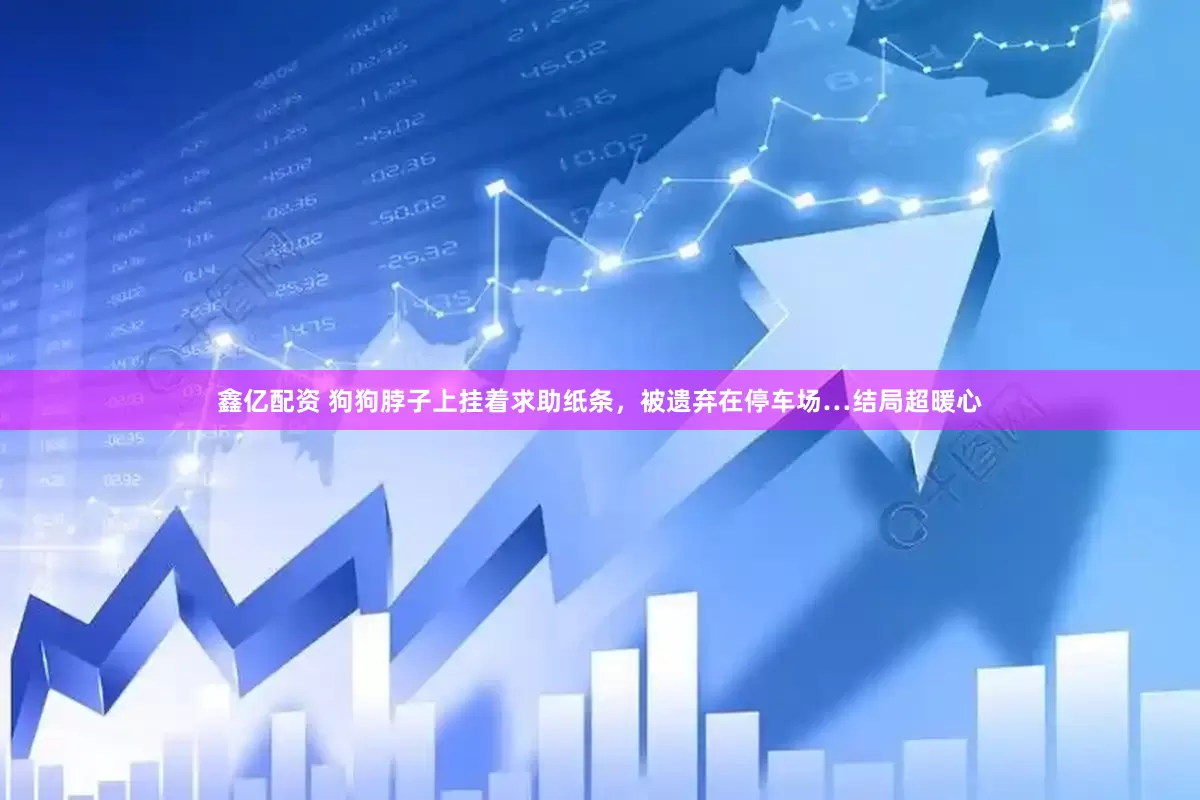 鑫亿配资 狗狗脖子上挂着求助纸条，被遗弃在停车场…结局超暖心