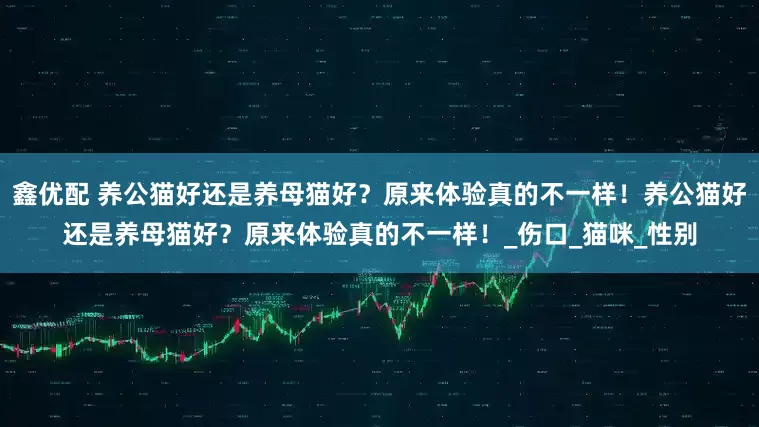 鑫优配 养公猫好还是养母猫好？原来体验真的不一样！养公猫好还是养母猫好？原来体验真的不一样！_伤口_猫咪_性别