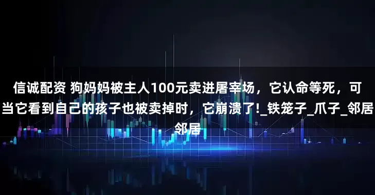 信诚配资 狗妈妈被主人100元卖进屠宰场，它认命等死，可当它看到自己的孩子也被卖掉时，它崩溃了!_铁笼子_爪子_邻居