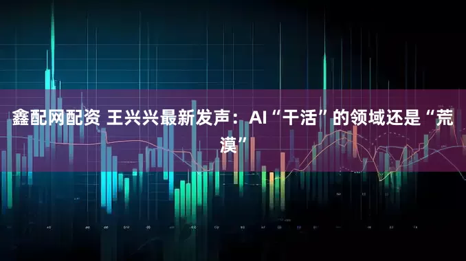 鑫配网配资 王兴兴最新发声：AI“干活”的领域还是“荒漠”