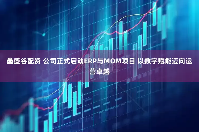 鑫盛谷配资 公司正式启动ERP与MOM项目 以数字赋能迈向运营卓越