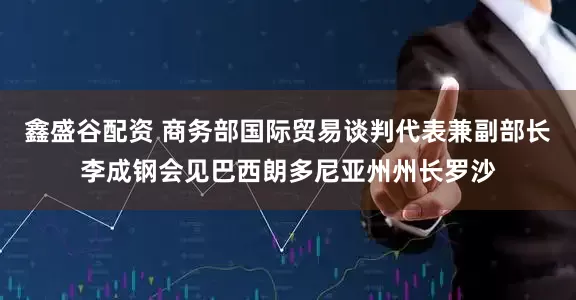 鑫盛谷配资 商务部国际贸易谈判代表兼副部长李成钢会见巴西朗多尼亚州州长罗沙